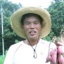 하영농장 이미지