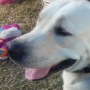 두아름농장 이미지