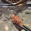 램시티 | 마곡 양갈비 맛집 회식 장소 추천, 램시티 마곡본점