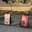 주짱 | 대전 소제동디저트카페 ‘미도리컬러’ 후기 / 소제동 주차팁