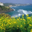 탑동호텔 이미지