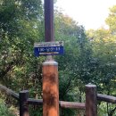 용산-후암-1900 | [양슐랭] “남산 둘레길””남산타워”코스 추천,가을가을해 ❣️❣️❣️+주차팁