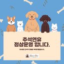 리츠펫 강남세곡점 이미지