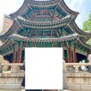시시와이3DVD룸 | [서울 아이폰스냅] 롯데호텔서울 도림 돌잔치 후기 💛 사진도 DVD도 모두 한 번에! - 미디어 쿠킹 스냅 추천
