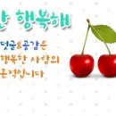뉴코아제이빔