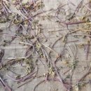 하얀배 민박 이미지