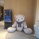 형제레지던스 | 강릉 신라 모노그램 레지던스 숙박 솔직 후기