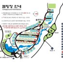 캠핑숲