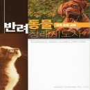 앤씨애듀 이미지