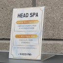 [논현역/미용실] 탈모예방&두피관리! 엘샤코로 두피 스케일링 관리 후기