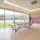 로이스애견풀빌라 이미지