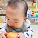 로지오가닉 농장 이미지