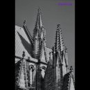 리연케이의원 이미지