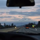 내리사랑 이미지