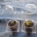 미소농장 이미지