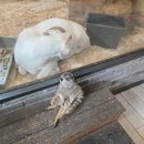 테이블에이 이미지