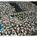 똘이네식당 이미지