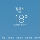 외동채소 이미지