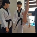 펫팔솔루션