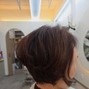 다옴헤어 이미지