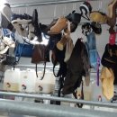 부자세탁 이미지