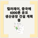 한국운모개발
