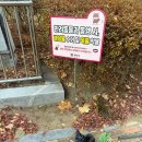 북정근린공원 산책로 내 반려견 배설물 수거봉투 무단투기 및 단속 요청 이미지