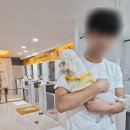 메가펫 애견호텔 이미지