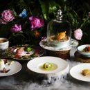 샹그릴라 이미지