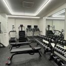 머슬뱅크짐 이미지