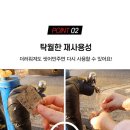 HAIR 나올수 없는 곳
