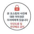 기쁨병원 | 담낭절제술 후기(1) 기쁨병원 선택 이유·입원 준비·과정·후기