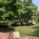 더넛