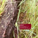 문화농원 - 담양군 동산촌길 43-68 | 문화농원
