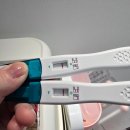 대추밭백 한의원 산후보약 후기+ (아들용)임신보약 다시 짓기 +복용 후기