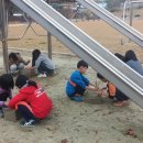 나포초등학교 이미지
