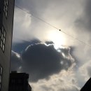 국수나무답십리역점 이미지