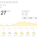 (합)국제여행사