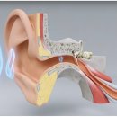 서울보청기.의료기 이미지