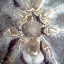 마들역(7호선) 이미지