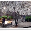 림의 집 이미지