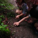 동구초등학교 이미지