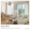 신효동-16 | 202108 제주 1-2일차 서귀포 감성숙소 '섬스튜디오인서귀포'&amp; 서귀포 다이빙 '다이브히어로'