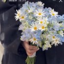 포브(FORVE) 이미지