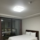 팔레드시즈 이미지