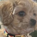 동광로11길 69 이미지