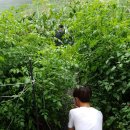 흥선농장 이미지