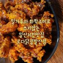 [일산치킨맛집] 건강한재료와 바삭한맛 로다닭 정발산점
