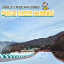 더블유(W)모텔 | 무주 덕유산ㅣ여행기록(1) - 눈썰매장, 더블유모텔, 덕유산송어회