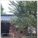 교동마을 현대필그린(아) | [전주 카페] 전주한옥마을 대형 한옥카페 &#39;이르리&#39; 솔직후기